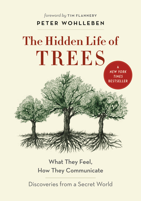 Hidden Life of Trees: What They Feel, How They Communicate--Discoveries from a Secret World - Ingram