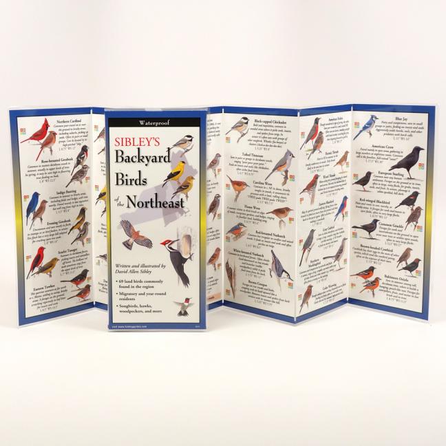 Sibley's Backyard Birds of the Northeast - Ingram