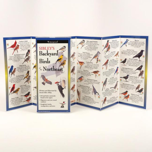 Sibley's Backyard Birds of the Northeast - Ingram
