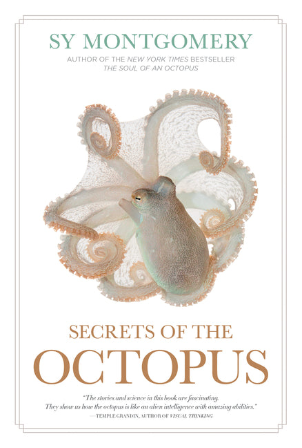 Secrets of the Octopus - Ingram