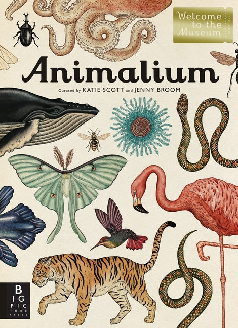 Animalium: Welcome to the Museum - Ingram