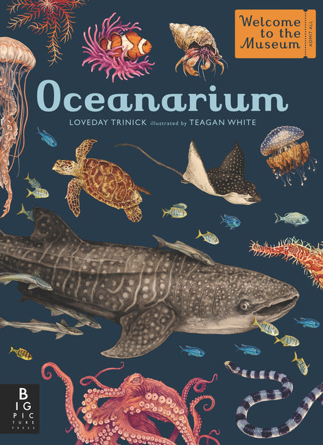 Oceanarium: Welcome to the Museum - Ingram