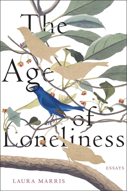 Age of Loneliness: Essays - Ingram
